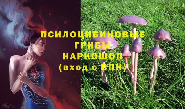 мефедрон Медногорск